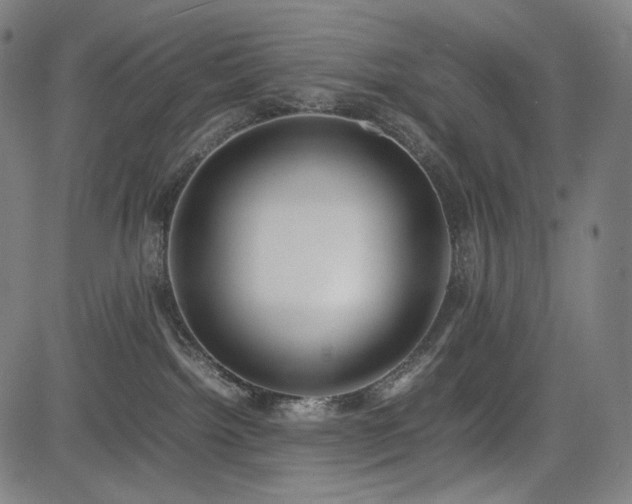 X0000085310092200703091457