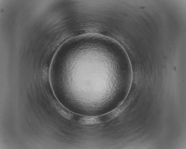 X0000085310093200703091457