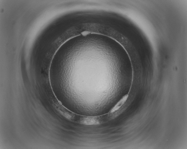X0000085310095200703091457
