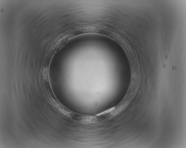 X0000085310096200703091457