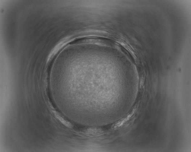 X0000085310101200703091456