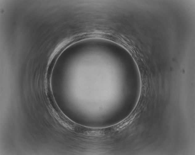 X0000085310102200703091456