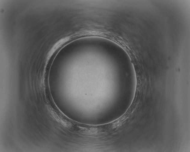 X0000085310104200703091456