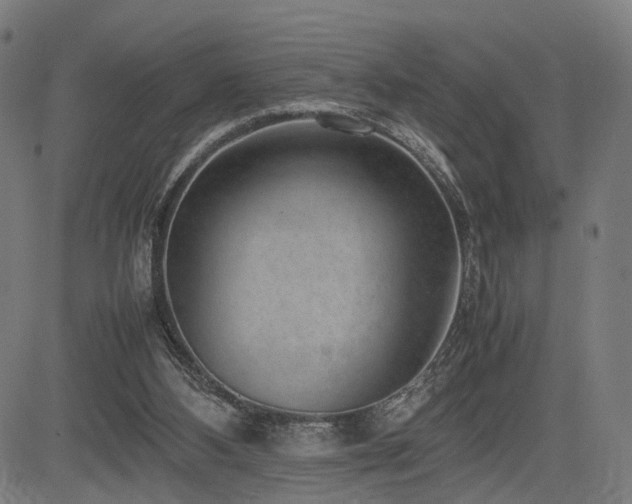 X0000085310108200703091456