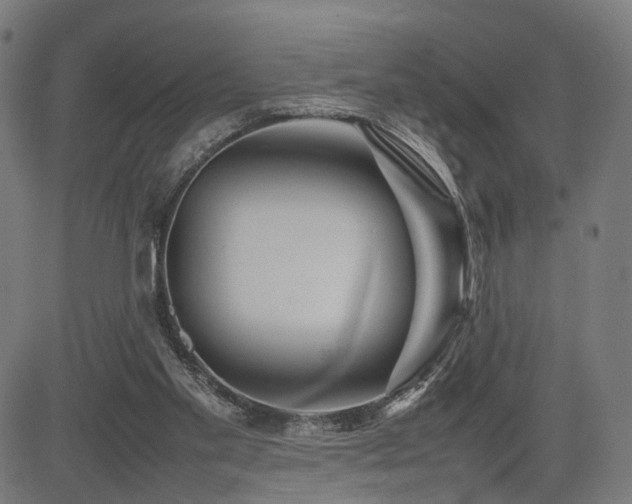 X0000085310109200703091456