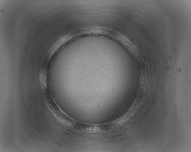 X0000085310112200703091456