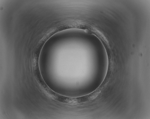 X0000085310113200703091456