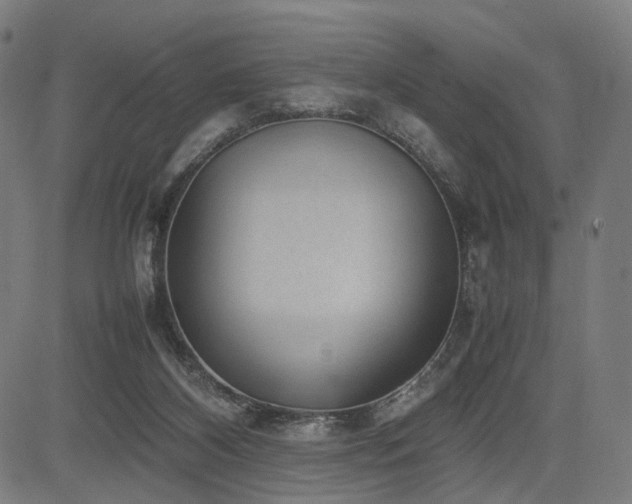 X0000085310116200703091456
