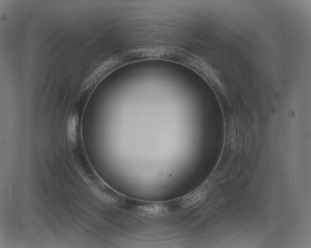 X0000085310118200703091456