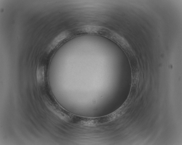 X0000085310120200703091456