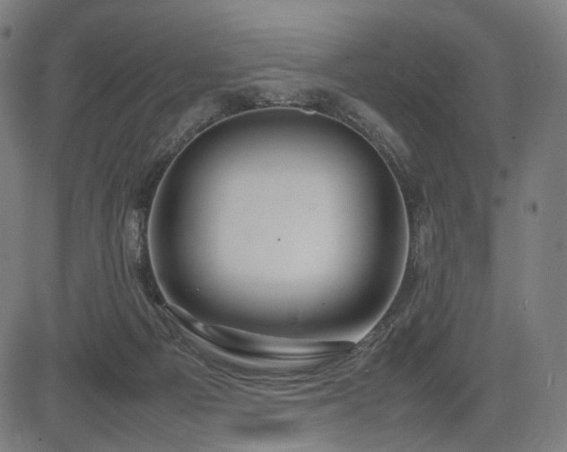 X0000085310121200703091456