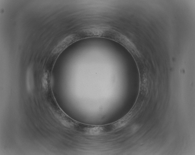 X0000085310122200703091456