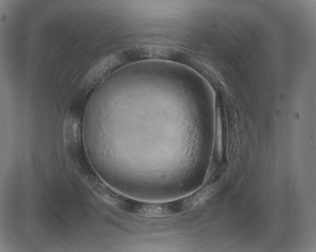 X0000085310123200703091455