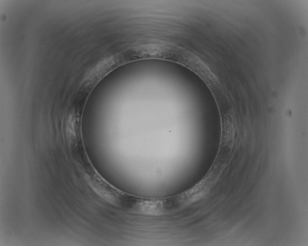 X0000085310126200703091455