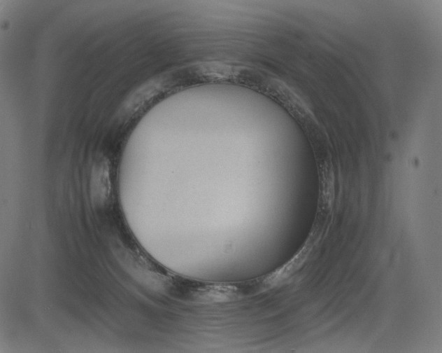 X0000085310128200703091455