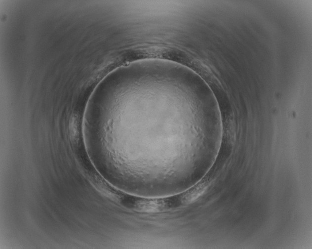 X0000085310131200703091455