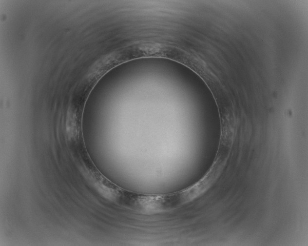 X0000085310136200703091455
