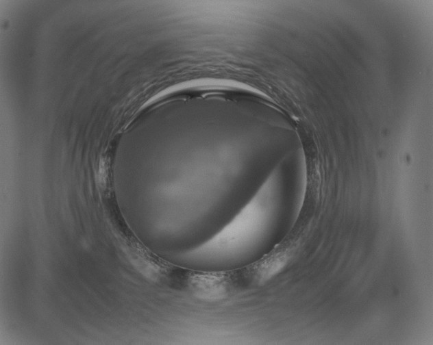 X0000085310139200703091455