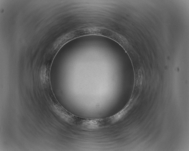 X0000085310140200703091455