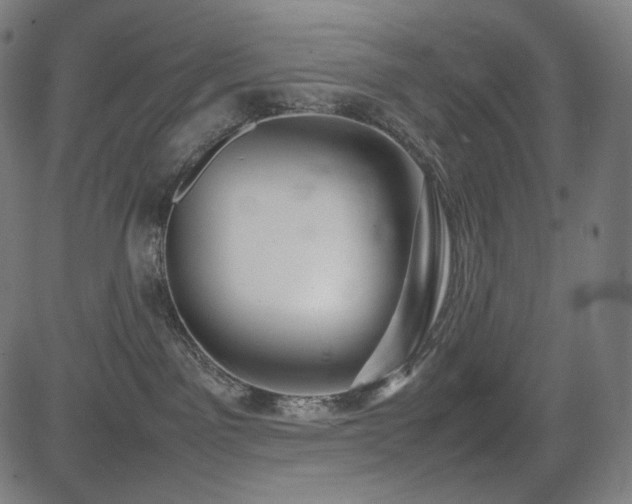 X0000085310141200703091455