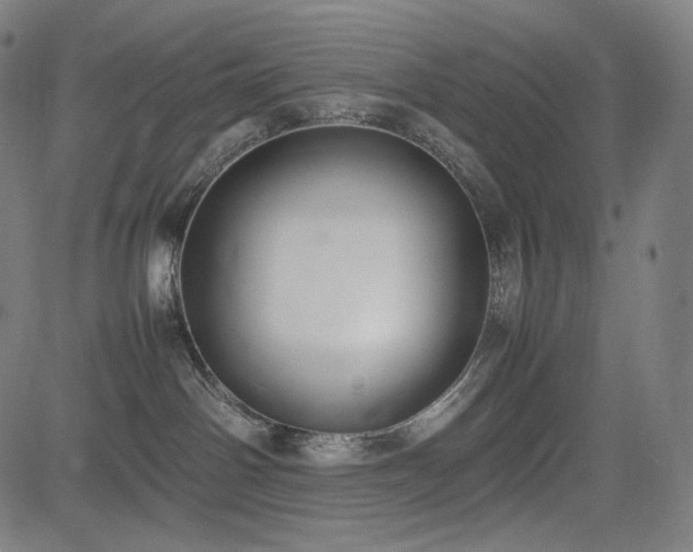 X0000085310142200703091455