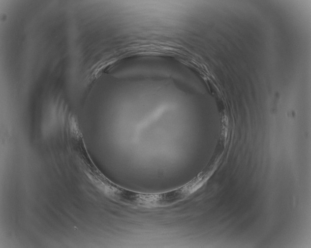 X0000085310143200703091455