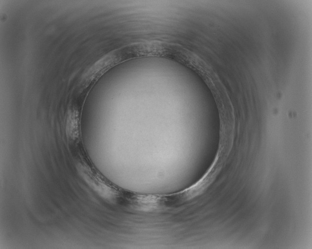 X0000085310144200703091455