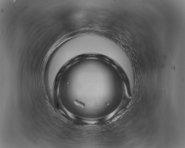 X0000085310150200703091454