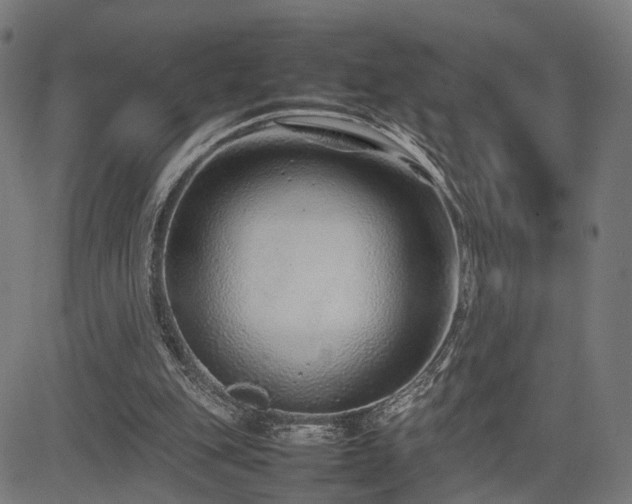 X0000085310151200703091454