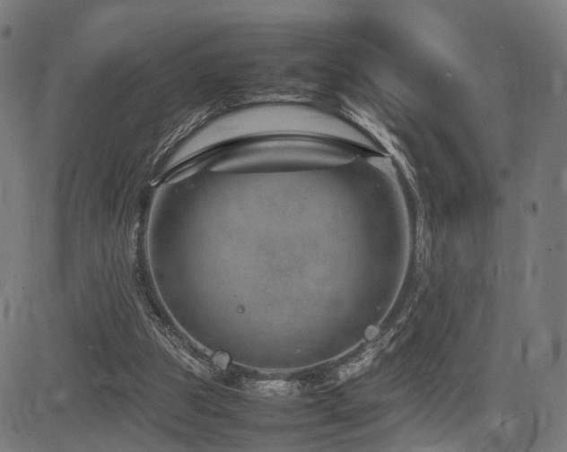 X0000085310153200703091454
