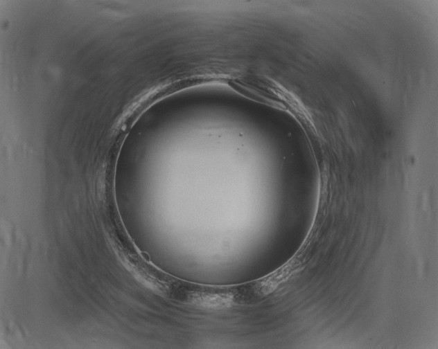 X0000085310155200703091455