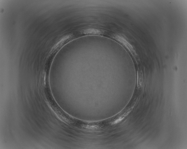 X0000085310157200703091455