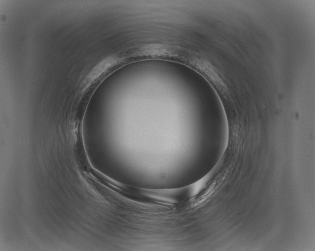 X0000085310160200703091455