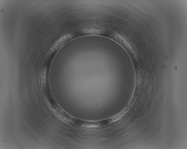 X0000085310163200703091455