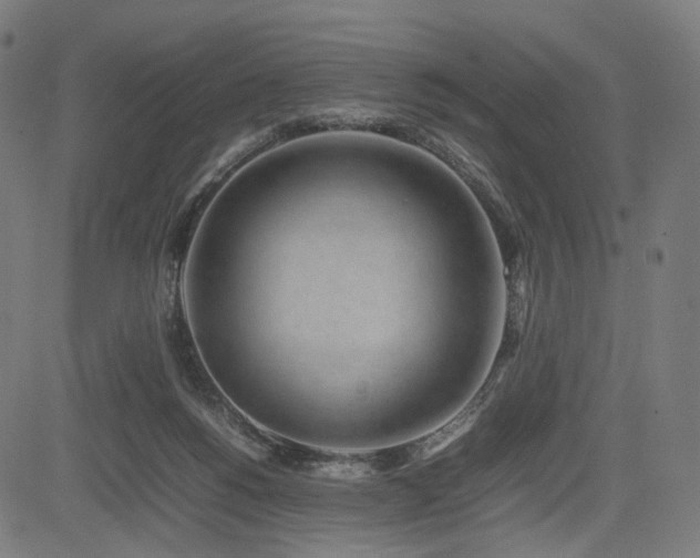 X0000085310168200703091455