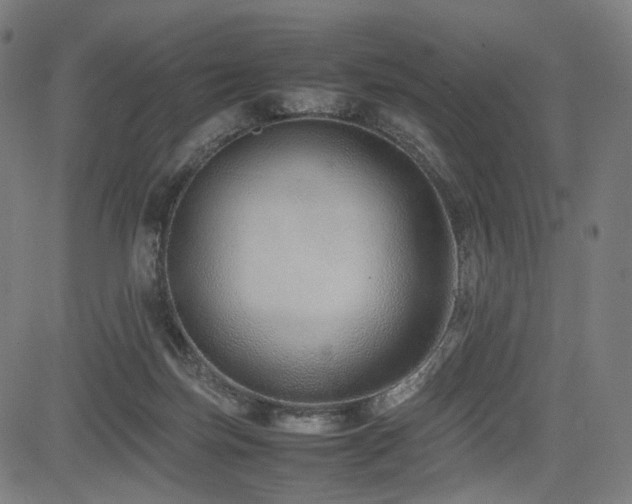 X0000085310171200703091455