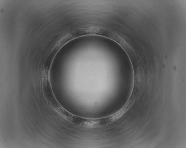 X0000085310172200703091455
