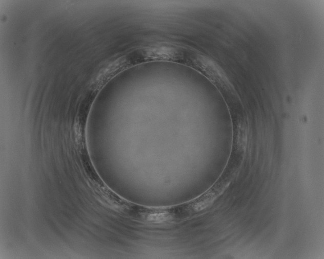 X0000085310173200703091455