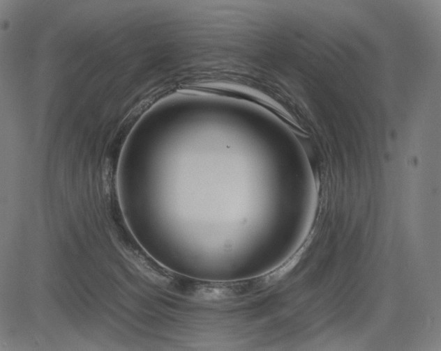 X0000085310174200703091455