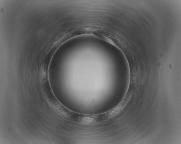X0000085310176200703091455