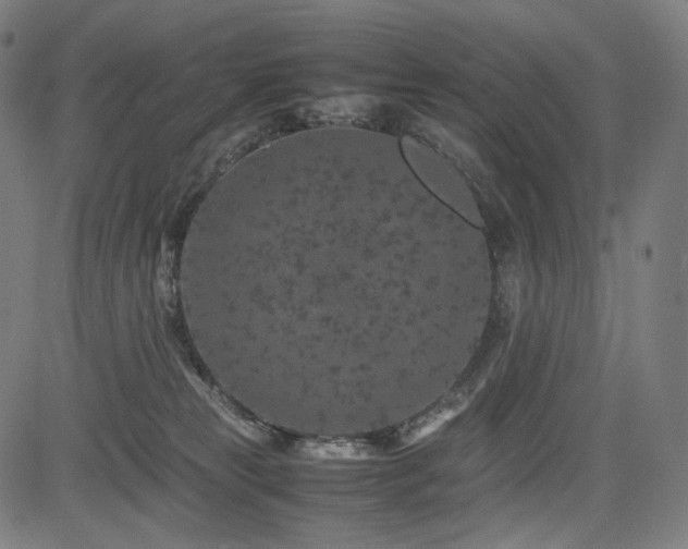 X0000085310181200703091455