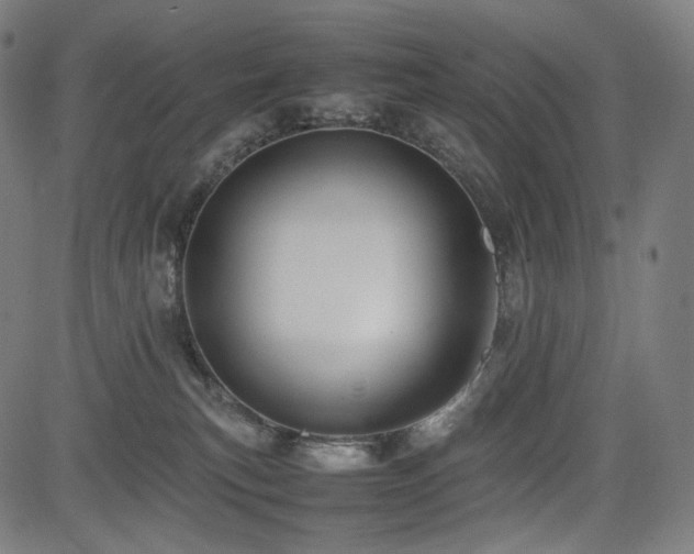X0000085310183200703091455