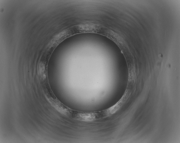 X0000085310187200703091455