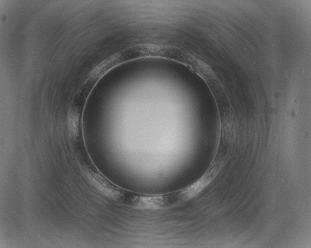 X0000085310188200703091455