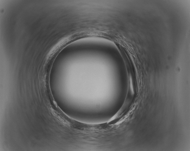 X0000085310197200703091454