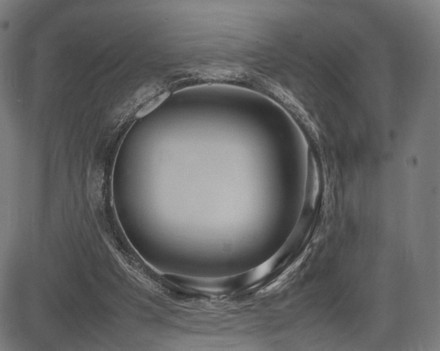 X0000085310201200703091454