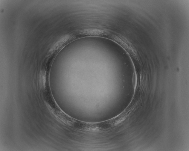 X0000085310206200703091454