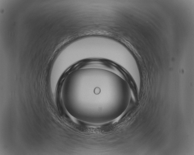 X0000085310207200703091454