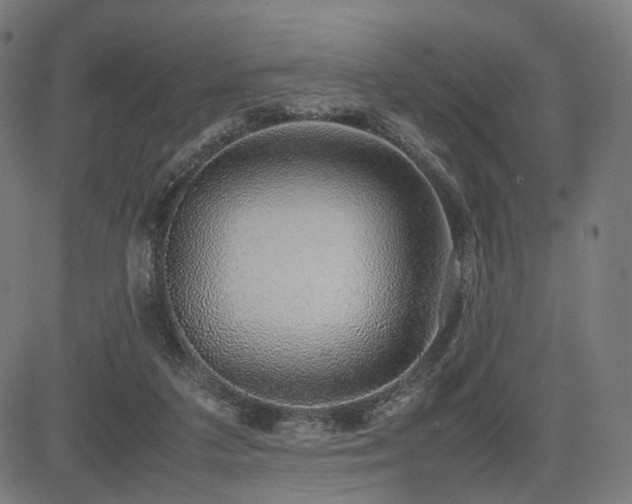 X0000085310211200703091454