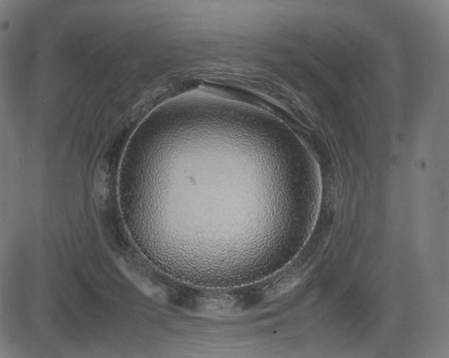 X0000085310215200703091454